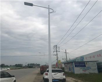 湖北漢中市城固縣上元觀街道路燈照明項目